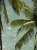 image14(3).jpeg