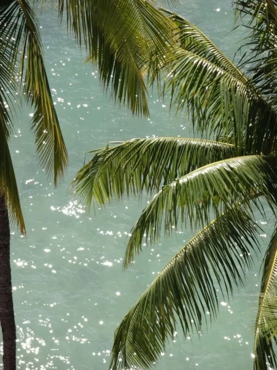 image14(3).jpeg