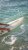 image11(2).jpeg