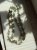 image13.jpeg